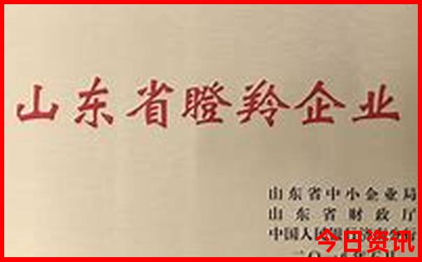 8月去哪里旅游不热又好玩